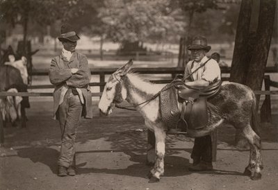 Paseos en burro en Clapham Common de English Photographer