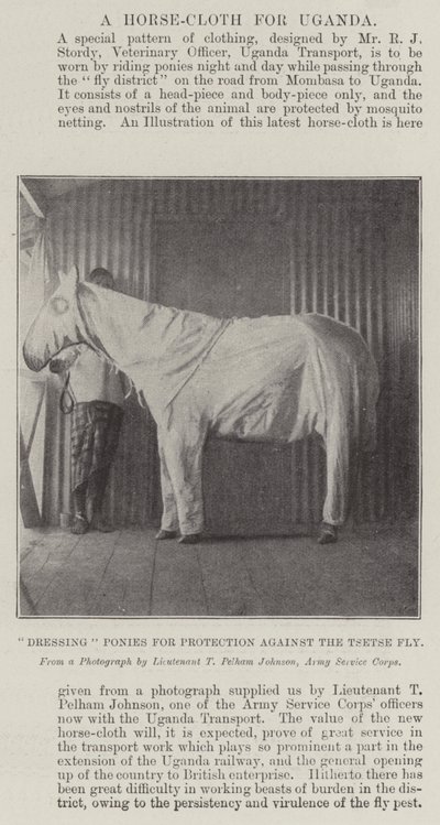Preparando Ponis para Protección contra la Mosca Tsetsé de English Photographer