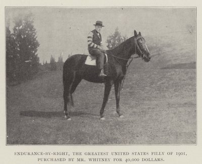 Endurance-by-Right, la Mayor Potranca de los Estados Unidos de 1901, comprada por el Sr. Whitney por 40,000 Dólares de English Photographer