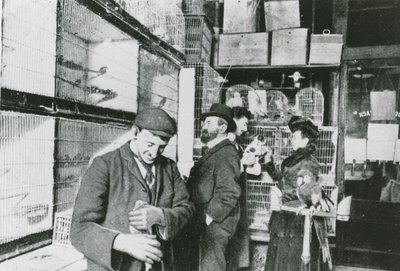Tienda de mascotas en Great Portland Street de English Photographer