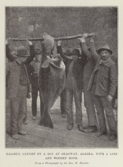 Halibut, capturado por un niño en Skagway, Alaska, con una línea y un anzuelo de madera de English Photographer