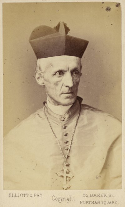 Henry Edward Manning de English Photographer