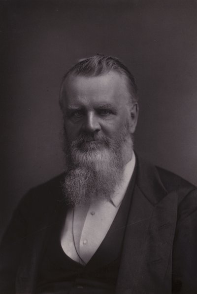 Henry Morley, profesor de literatura inglesa de English Photographer