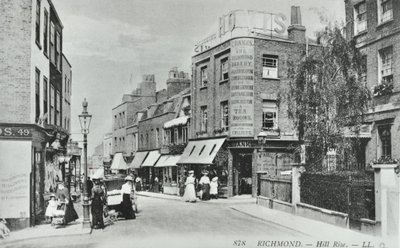 Hill Rise, Richmond: vista general, 1895 de English Photographer