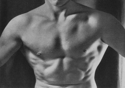 Ilustración para El Cuerpo Masculino de English Photographer