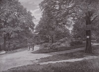 En el Bosque de la Reina, Highgate de English Photographer