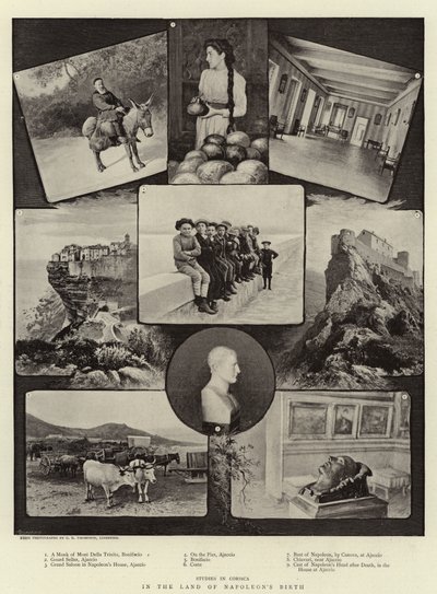 En la tierra del nacimiento de Napoleón de English Photographer