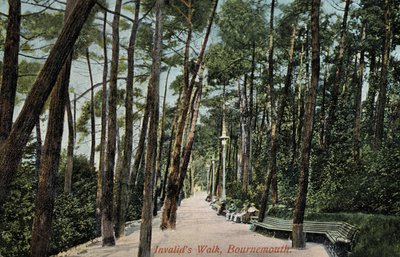 Paseo del inválido, Bournemouth de English Photographer