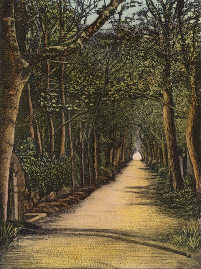 Maillot: Vinchelez Lane (foto a color) de English Photographer
