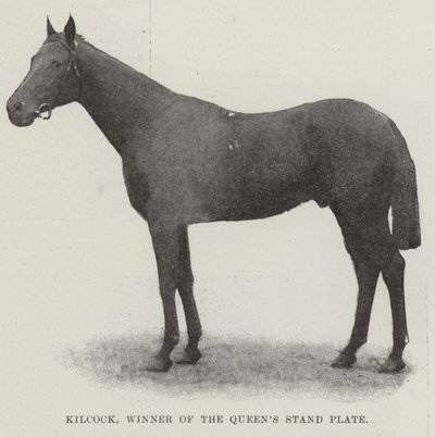Kilcock, ganador del Queens Stand Plate de English Photographer