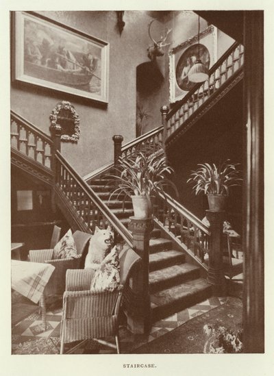 Hotel Levens: Escalera de English Photographer