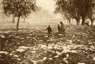 Césped lleno de basura en Hampstead Heath el día después de un feriado bancario, de Wonderful London, publicado 1926-27 de English Photographer