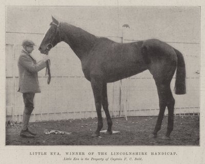 Pequeña Eva, ganadora del Lincolnshire Handicap de English Photographer