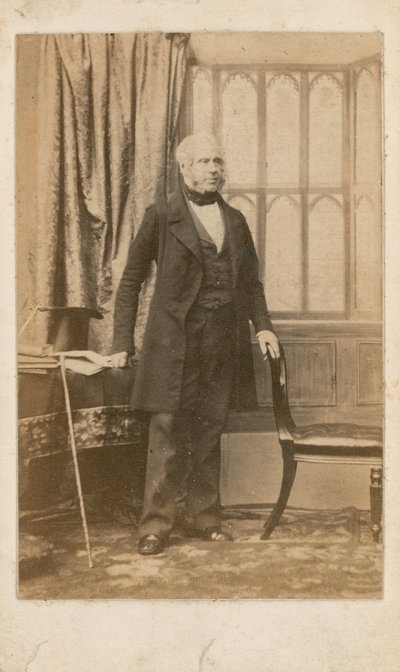 Lord Palmerston de English Photographer