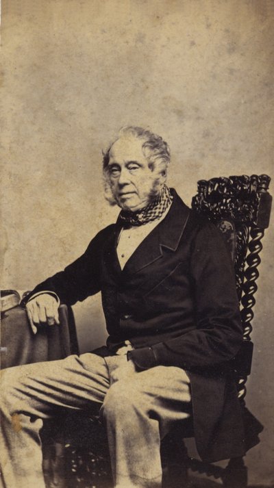 Lord Palmerston de English Photographer