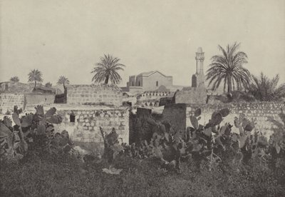 Lida, la Antigua Lod del Antiguo Testamento, donde el Apóstol Pablo restauró al enfermo Eneas de English Photographer