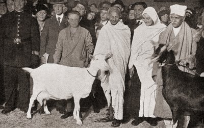 Mahatma Gandhi llega a Londres, Inglaterra en 1931 con su discípula, Madeleine Slade, y sus dos cabras, de La Historia de Veinticinco Años, publicado en 1935 de English Photographer