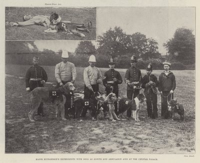 Los experimentos del Mayor Richardson con perros como exploradores y ayudas de ambulancia en el Crystal Palace de English Photographer