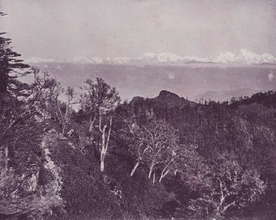 Monte Everest, desde Sandakphoo, Darjeeling de English Photographer