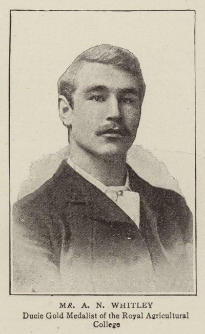 Sr. A N Whitley de English Photographer
