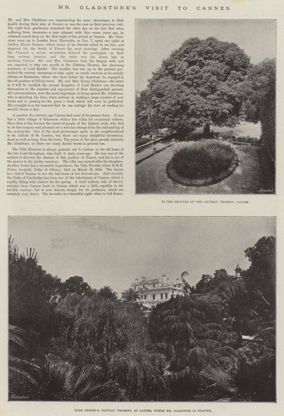 La visita del Sr. Gladstone a Cannes de English Photographer