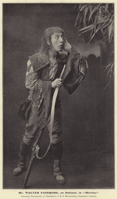 Mr Walter Passmore, como Bobinet, en Mirette de English Photographer