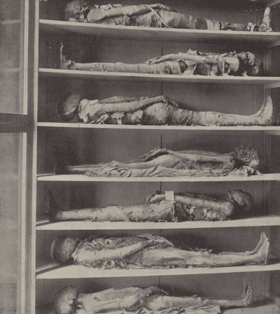 Momias de sacerdotes, Los cuerpos de sacerdotes embalsamados antes de que Aarón y sus hijos fueran nombrados de English Photographer