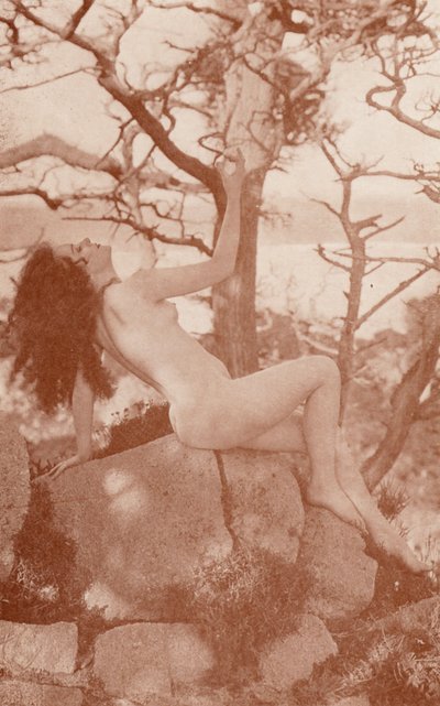Arte nudista: Tanglewood (foto b/n) de English Photographer