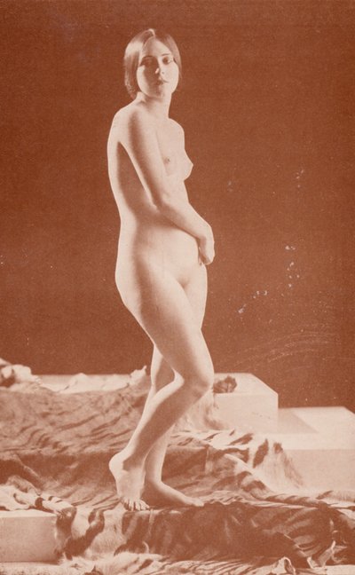 Arte nudista: Dama Tigre (foto b/n) de English Photographer