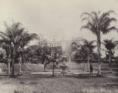 Palmeras y fuente, Jardines Botánicos, Brisbane de English Photographer