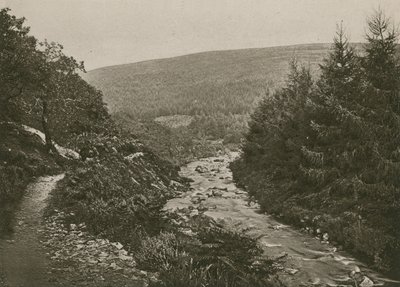 Camino por Bagworthy Water, Valle de Doone de English Photographer