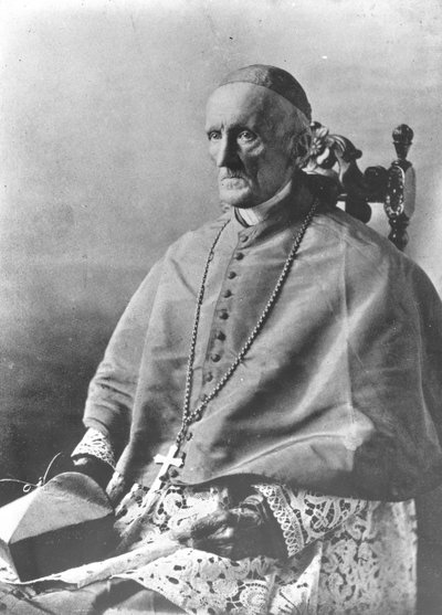 Retrato del Cardenal Manning de English Photographer