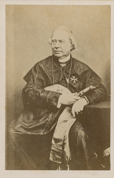 Retrato de Nicholas Wiseman de English Photographer