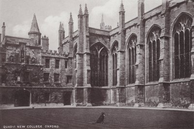 Cuadrángulo del New College, Oxford de English Photographer