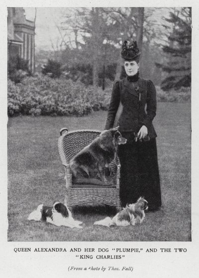 Reina Alexandra con su perro, Plumpie, y sus dos spaniels King Charles de English Photographer