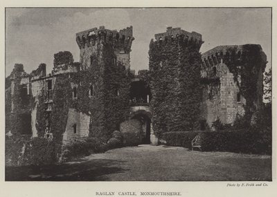 Castillo de Raglan, Monmouthshire de English Photographer
