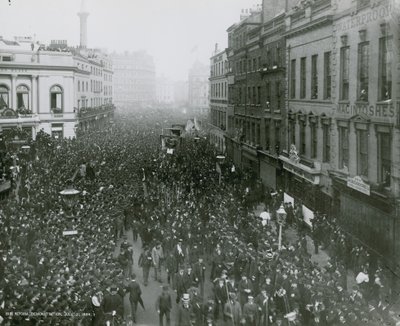Demostración de reforma, 21 de julio de 1884, fotografía de English Photographer