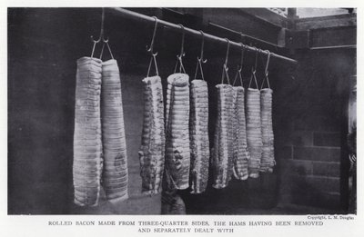 Tocino enrollado hecho de lados de tres cuartos, los jamones han sido removidos y tratados por separado de English Photographer