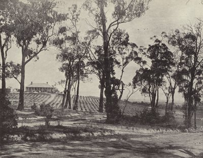 Escena en el camino de Gembrook, Victoria de English Photographer