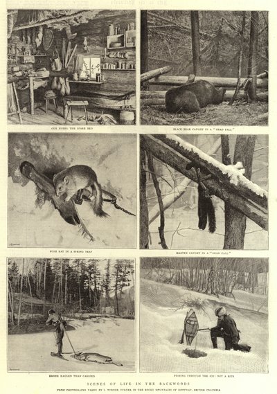 Escenas de la vida en el bosque de English Photographer