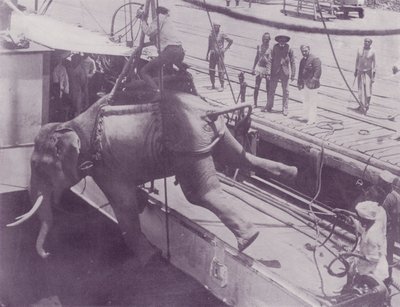 Embarcando un Elefante, Rangún de English Photographer