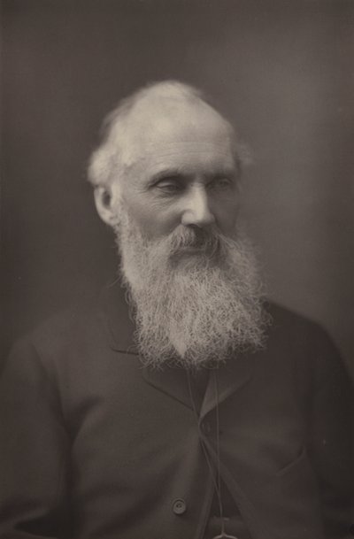 Sir William Thomson de English Photographer