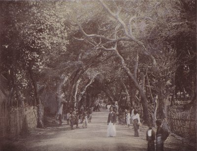 Skinners Road, Colombo de English Photographer
