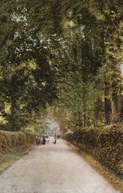 Camino Spencer, Ryde de English Photographer