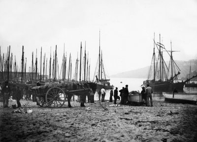Puerto de St Ives mirando hacia Carbis Bay, c.1880-99 de English Photographer