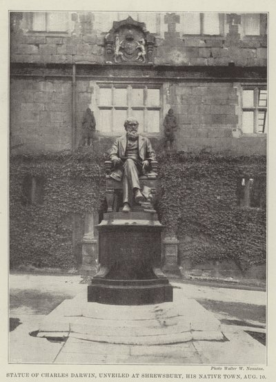 Estatua de Charles Darwin, develada en Shrewsbury, su Ciudad Natal, el 10 de Agosto de English Photographer
