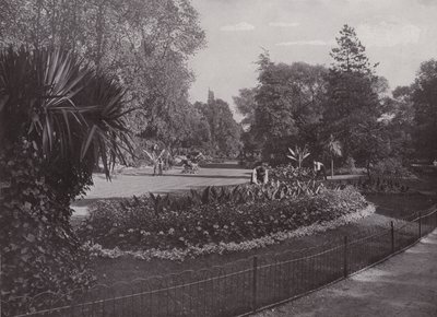 Jardines Subtropicales, Parque Battersea de English Photographer