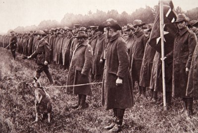 La revisión de Anzac en Salisbury Plain: una mascota australiana, ilustración de The Illustrated War News, 27 de septiembre de 1916 de English Photographer