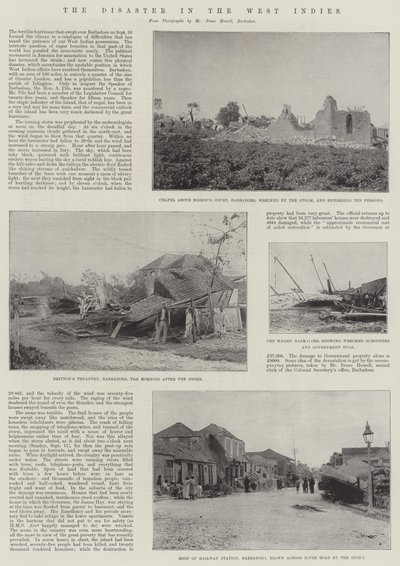 El Desastre en las Indias Occidentales de English Photographer