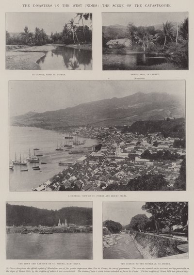 Los desastres en las Indias Occidentales, la escena de la catástrofe de English Photographer